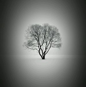 Meet your Posher, Muoi